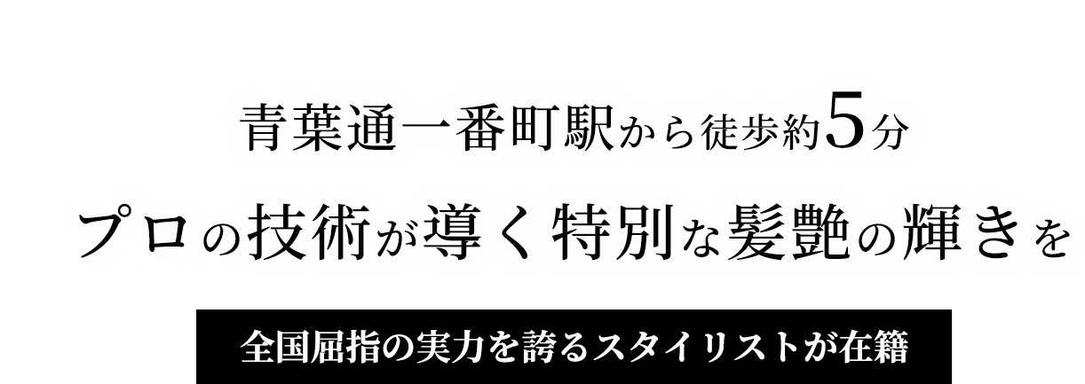 MVcatch_pc